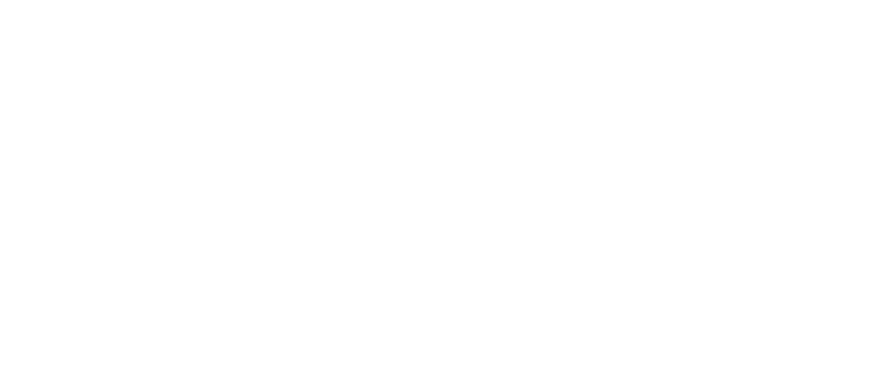 MALUS加速器 iPad版